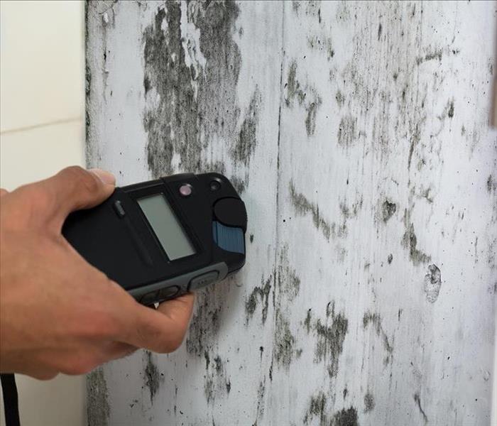 Image of a person measuring moisture on mold damaged wall. 
